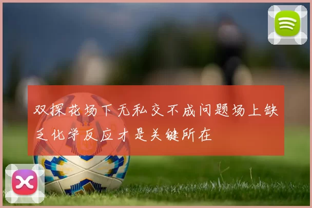 双探花场下无私交不成问题场上缺乏化学反应才是关键所在