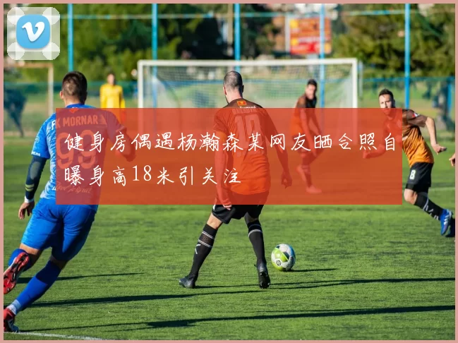 健身房偶遇杨瀚森某网友晒合照自曝身高18米引关注